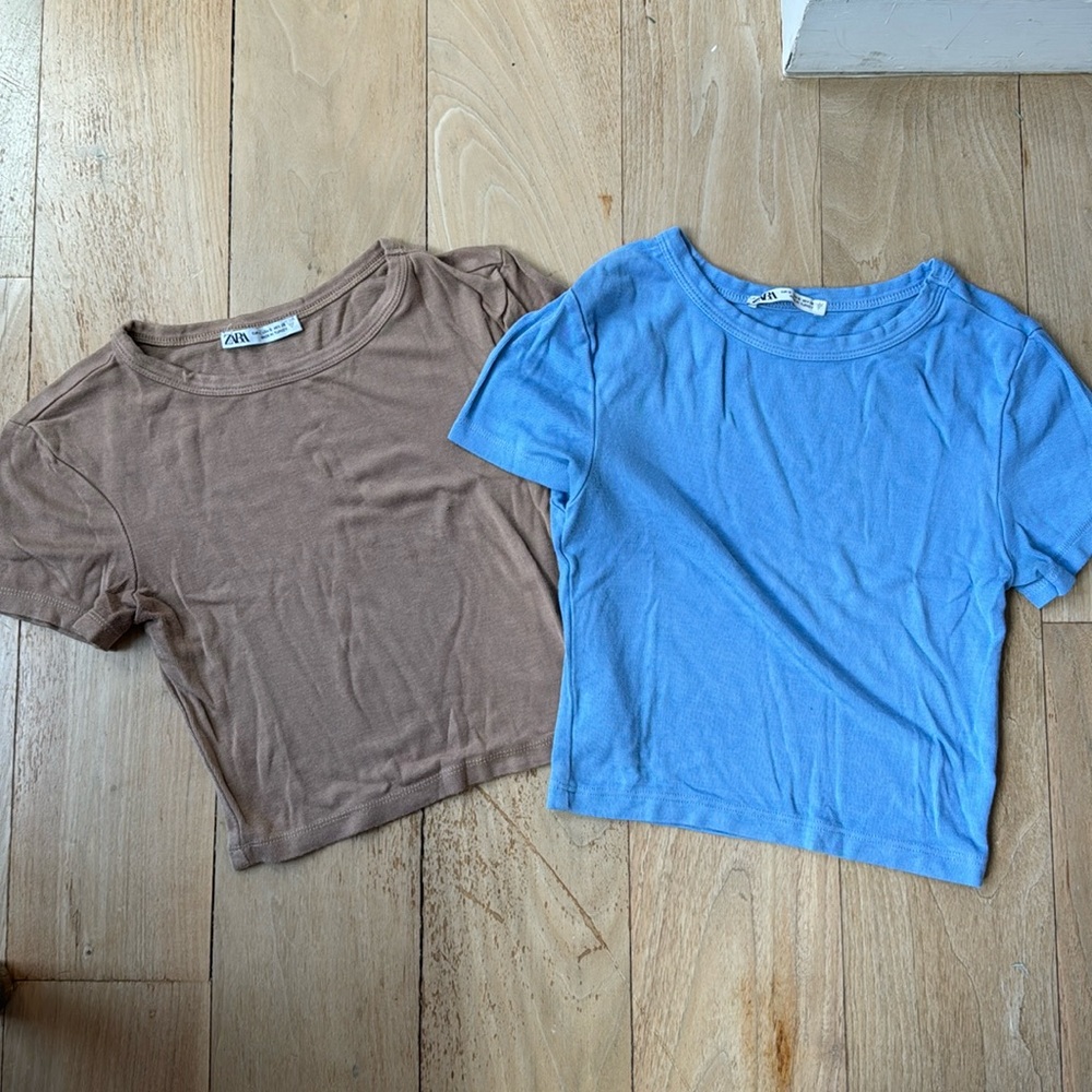 (2) Zara Cropped T-shirts